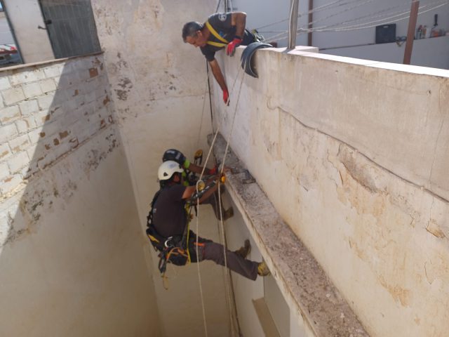 Proyectos de Trabajos verticales